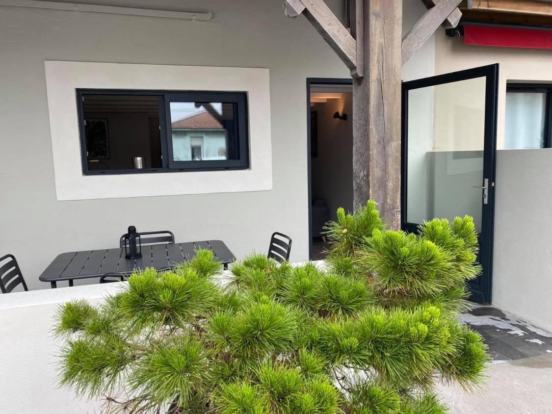 Appartement Du Centre ลาเตสเตอ-เดอ-บูค ภายนอก รูปภาพ